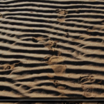 Slide from presentation: a photo of wavy patterns in beach sand with footprints.